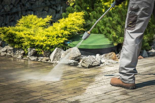 Best Roof Cleaning and Mildew Removal in White Settlement, TX